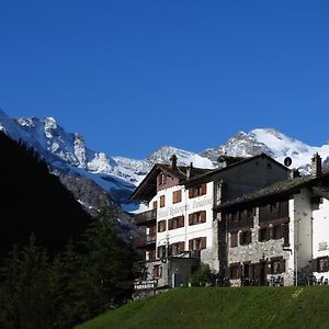Hotel Paradisia